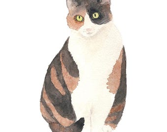 Aquarel lapjeskat - Fine Art Print 8 x 10