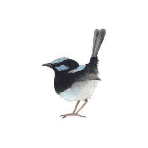 Blau-schwarzer Vogel - Fine Art Print