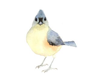 Aquarel vogel - mees - Fine Art Print