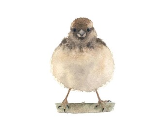 Jonge bruine aquarelvogel - Fine Art-print