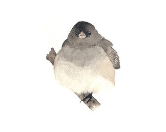 Zwart-grijze Junco op tak - Kunstdruk