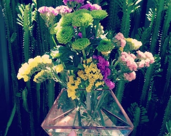 Maßanfertigung Lötter Terrarium Glasgehäuse für Pflanzen und Dekorationen. Produktcode: 'S3443'