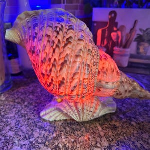 May include: A decorative seashell lamp with a warm orange glow. The lamp is shaped like a conch shell and sits on a matching base. The shell has brown and cream-colored patterns.