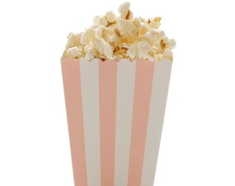 Light Pink Stripe Mini Popcorn Boxes (12 Pack)