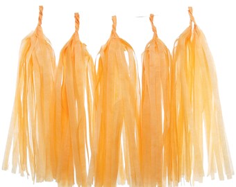 Orange Tissue Paper Tassels (Set of 5): Party Garland Decoration