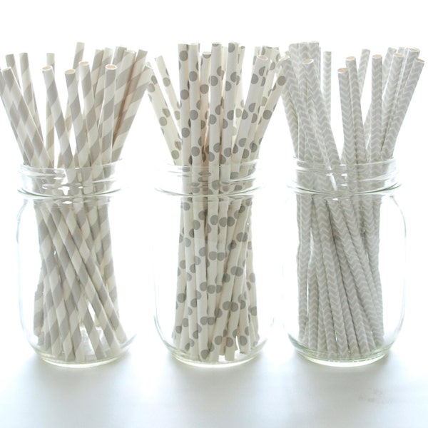 Silver Paper Straws Etsy