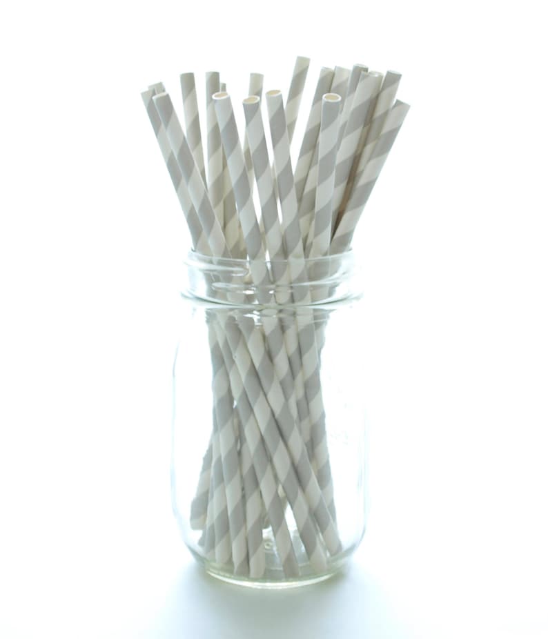 Silver Paper Straws Wedding Party Drinking Straws Long Paper Etsy