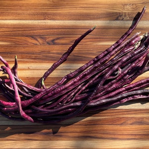 Chinese Red Noodle Bean Seed Packet, Heirloom Seeds, High-Yielding Burgundy Beans, Pole Bean, Grow Your Own