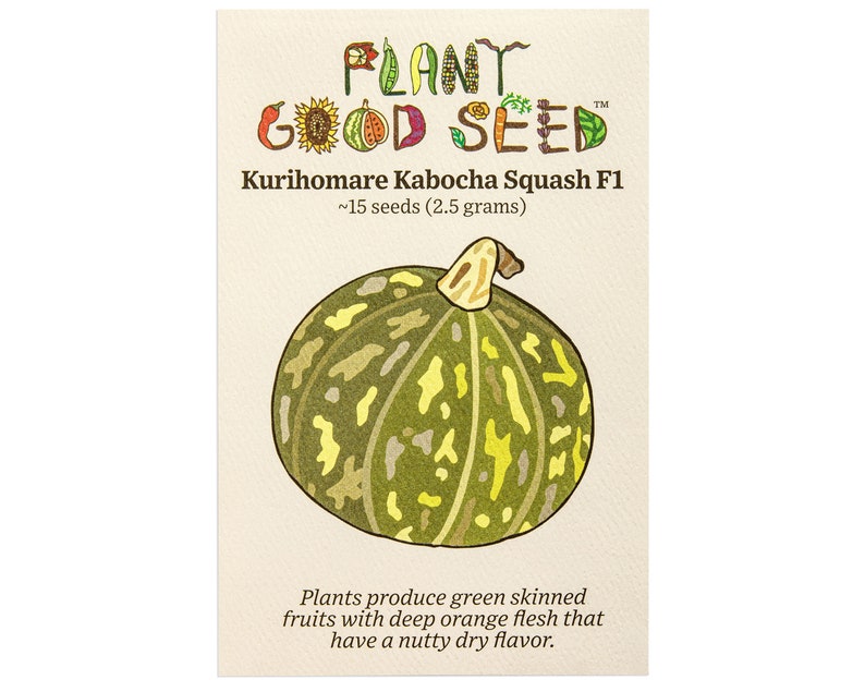 Kurihomare Kabocha Winter Squash Seeds (~15): Non-gmo, F1, Untreated ...
