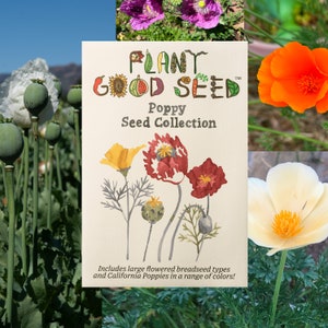 Poppy Seed Collection-Seven Packets: California, White Linen, Purple Gleam, Danish Flag, Hungarian Breadseed, After Midnight, Peshawar