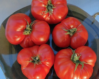 Costoluto Genovese Tomato Seeds: Organic Italian Heirloom, Red Pleated Fruits Seed Packet Bulk Pack