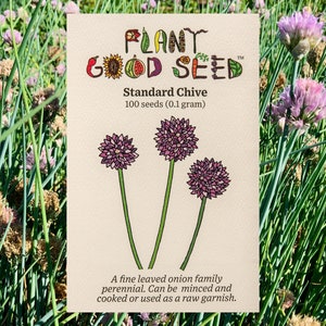 Standard Chive Seeds (~100): Certified Organic, Non-GMO, Heirloom Seed Packet, Vegetable Seeds, Home Herb Garden