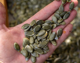 Styrian Hulless Pumpkin Seeds for Planting: Organic Seed Oil Heirloom Austrian Green Naked, Bulk