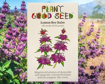 Lemon Bee Balm Flower Seeds (~85): Non-GMO, Heirloom, Open Pollinated Seed Packet, Unique Garden Seeds, Home Garden