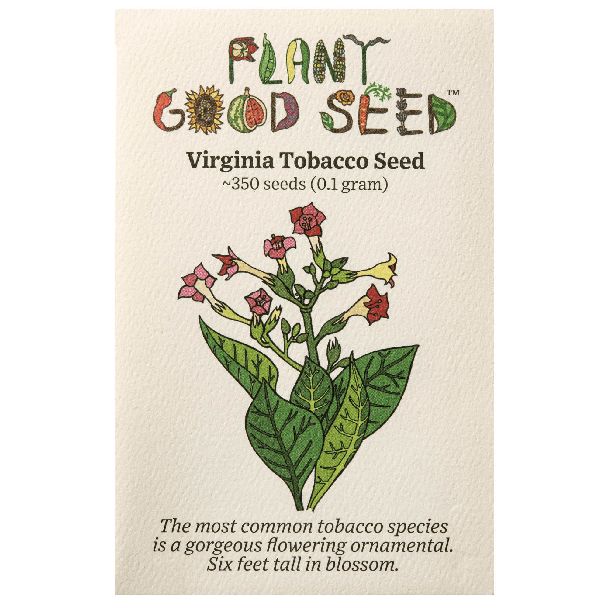 Virginia Burley Tobacco Seeds for Planting: Heirloom Nicotiana Tabacum, 350  Seed Packet and Bulk, Certified Organic Non-gmo, Medicinal Herbs