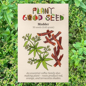 Dyer's Madder (Rubia tinctorum) Seeds: Non-GMO, Heirloom, Certified Organic Seed Packet, Garden Seeds, Fiber Plant Seeds, Dye Plants