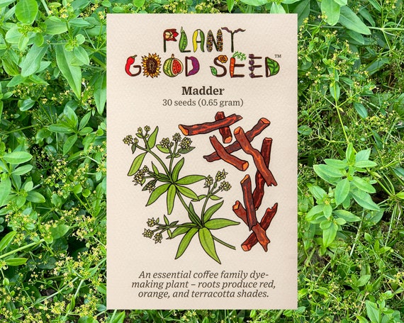 Dyer's Madder (Rubia tinctorum) Seeds: Non-GMO, Heirloom, Certified Organic Seed Packet, Garden Seeds, Fiber Plant Seeds, Dye Plants