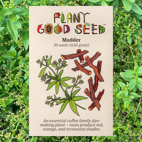 Dyer's Madder (Rubia tinctorum) Seeds: Non-GMO, Heirloom, Certified Organic Seed Packet, Garden Seeds, Fiber Plant Seeds, Dye Plants