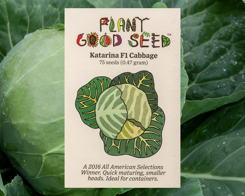 Plant Good Seed Katarina Cabbage Seeds - Thumbnail 2