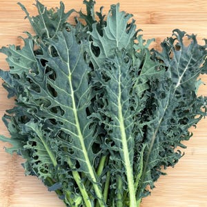 Fizz Kale Seeds: Unusual Vegetable British Heirloom Flat Emerald Leaves For Baby Salad Mixes, Microgreens Certified Organic Non-GMO Heirloom