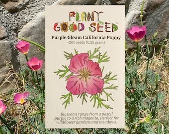 Purple Gleam California Poppy Seeds (200): Non-GMO, Heirloom Seed Packet, Vibrant Flower Seeds, California Native Seeds, Wilderflower Meadow