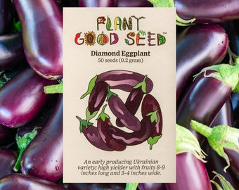 eggplantページ Eggplant-Collection-01_grande.