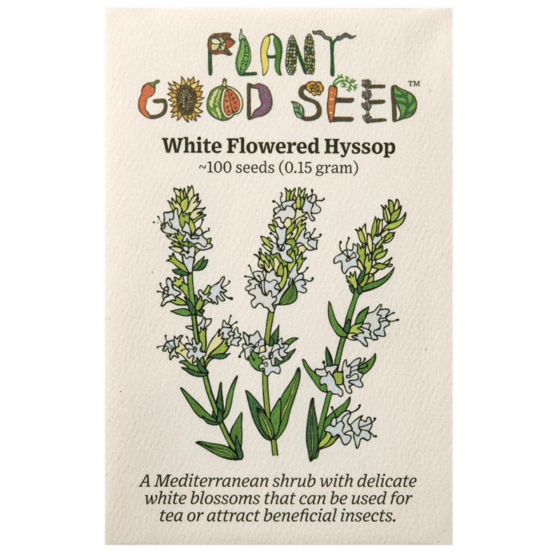 Plant Good Seed Hyssop Herb Seeds - Thumbnail 3