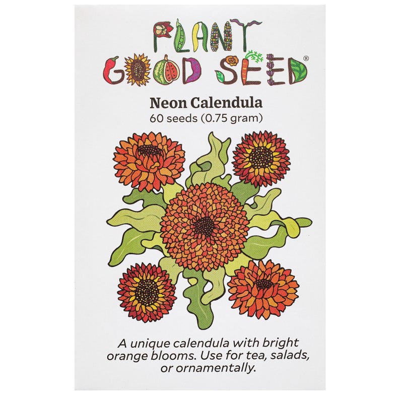Neon Calendula Flower Seeds for Planting: Pot Marigold, Seed Packet / Bulk, Organic Medicinal Herb Garden Orange Blossoms for Salves or Oils Packet: 60 seeds OG