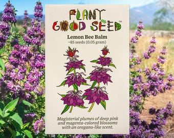 Lemon Bee Balm Flower Seeds (~85): Non-GMO, Heirloom, Open Pollinated Seed Packet, Unique Garden Seeds, Home Garden