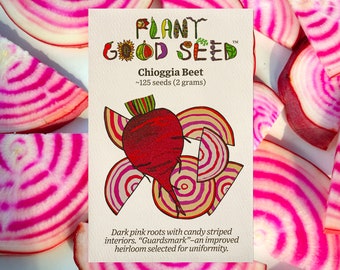 Chioggia Beet Seeds, Vegetable Seeds, Gardening Seeds, Organic Seeds, Seeds For Planting, Heirloom Seeds, Garden Seeds, Rare Seed Packets