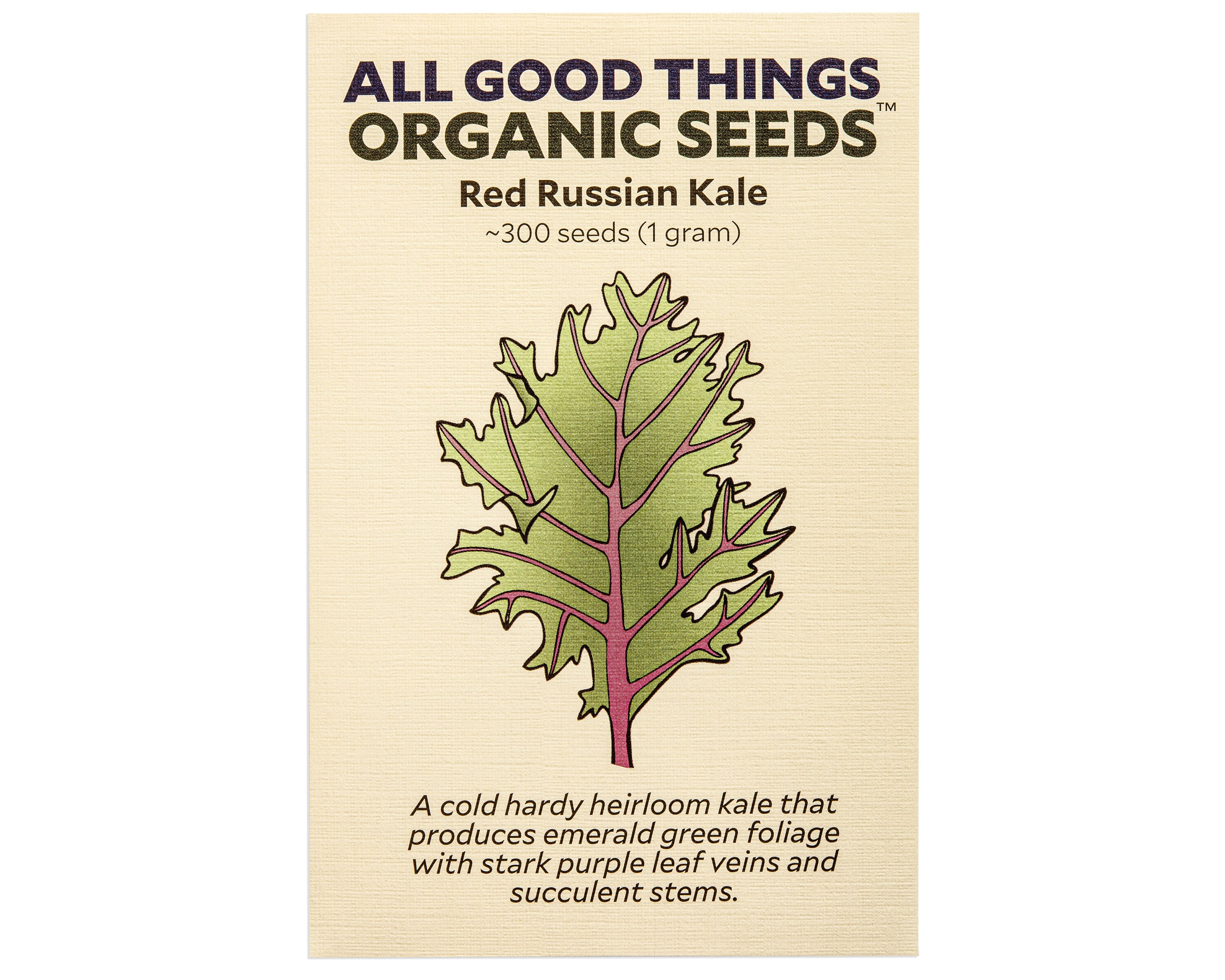 Heirloom 300 2021 Seeds Red Russian Kale Seeds Heirloom 300 2021 Seeds Red Russian Kale Seeds