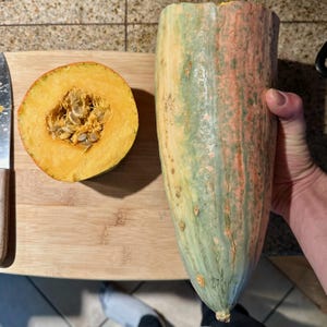 May include: A halved, oblong squash with a vibrant orange interior and a section of the squash with a green, orange, and yellow exterior. The cut side reveals seeds. The squash rests on a wooden cutting board.