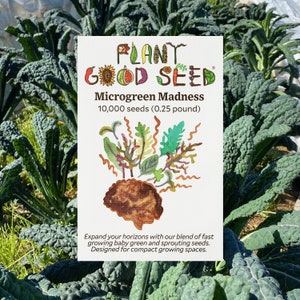Microgreen Seeds Blend: 10,000 seeds of Nutrient-Packed Madness! Peas Kale Beets Chard; Grow Baby Greens, Use for Sprouting Blend Superfood
