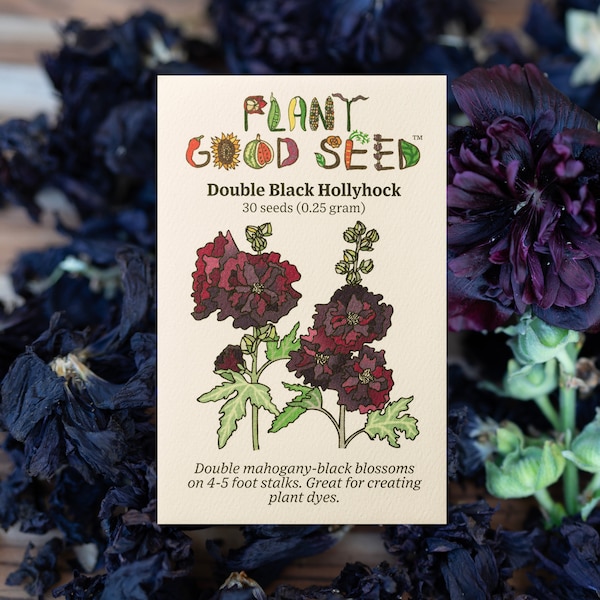Double Black Hollyhock Flower Seeds: Non-GMO, Heirloom, Certified Organic Seed Packet, Garden Seeds, Fiber Plant Seeds, Dye Plants