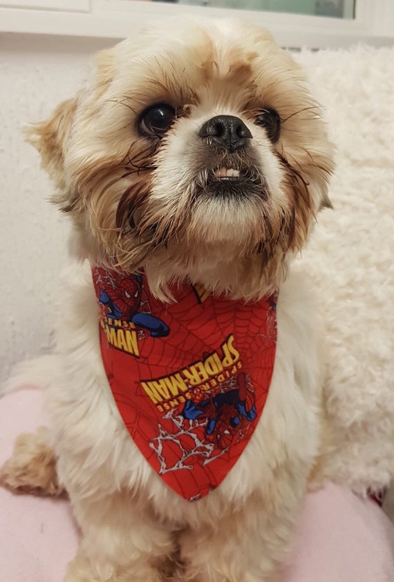 spiderman dog bandana