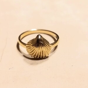 May include: A gold ring with a seashell design. The ring has a smooth, circular band and a detailed seashell centerpiece. The seashell has a textured, ridged surface, reflecting light. The ring is likely made of metal. The ring's design is reminiscent of the coast.