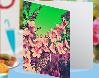 Flowering Sydney Cherry Blossom Nature Landscape Floral Habitat Botanical Blank Greeting Card