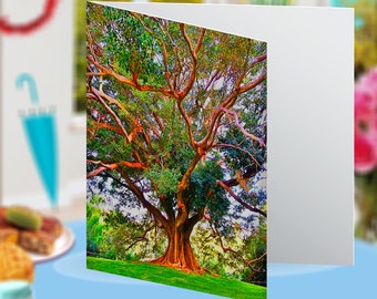 Sydney Domain Tree of Life Landscape Nature Habitat Botanical Blank Greeting Card