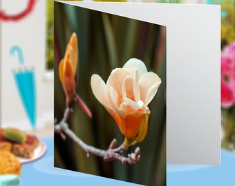Flowering Magnolia in Bloom Nature Landscape Habitat Floral Botanical Blank Greeting Card