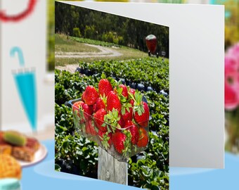 Hahndorf Strawberries Adelaide Hills Landscape Nature Botanical Blank Greeting Card