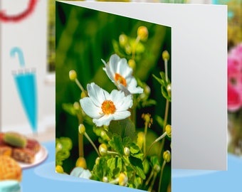 White Gallipoli Rose Flower Central Park Chippendale Sydney Floral Botanical Blank Greeting Card