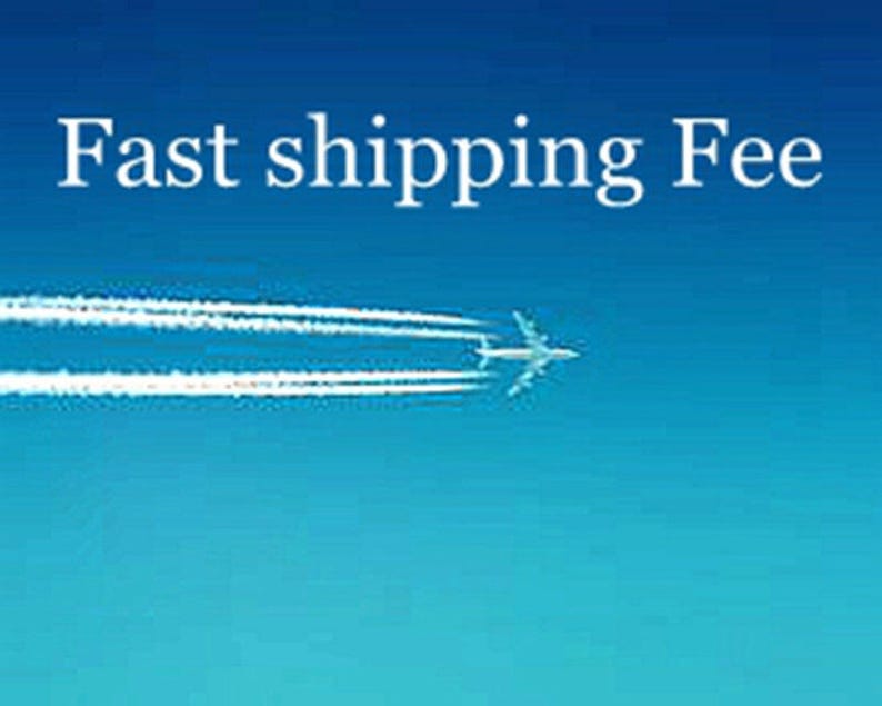 Fast shipping fee image 1