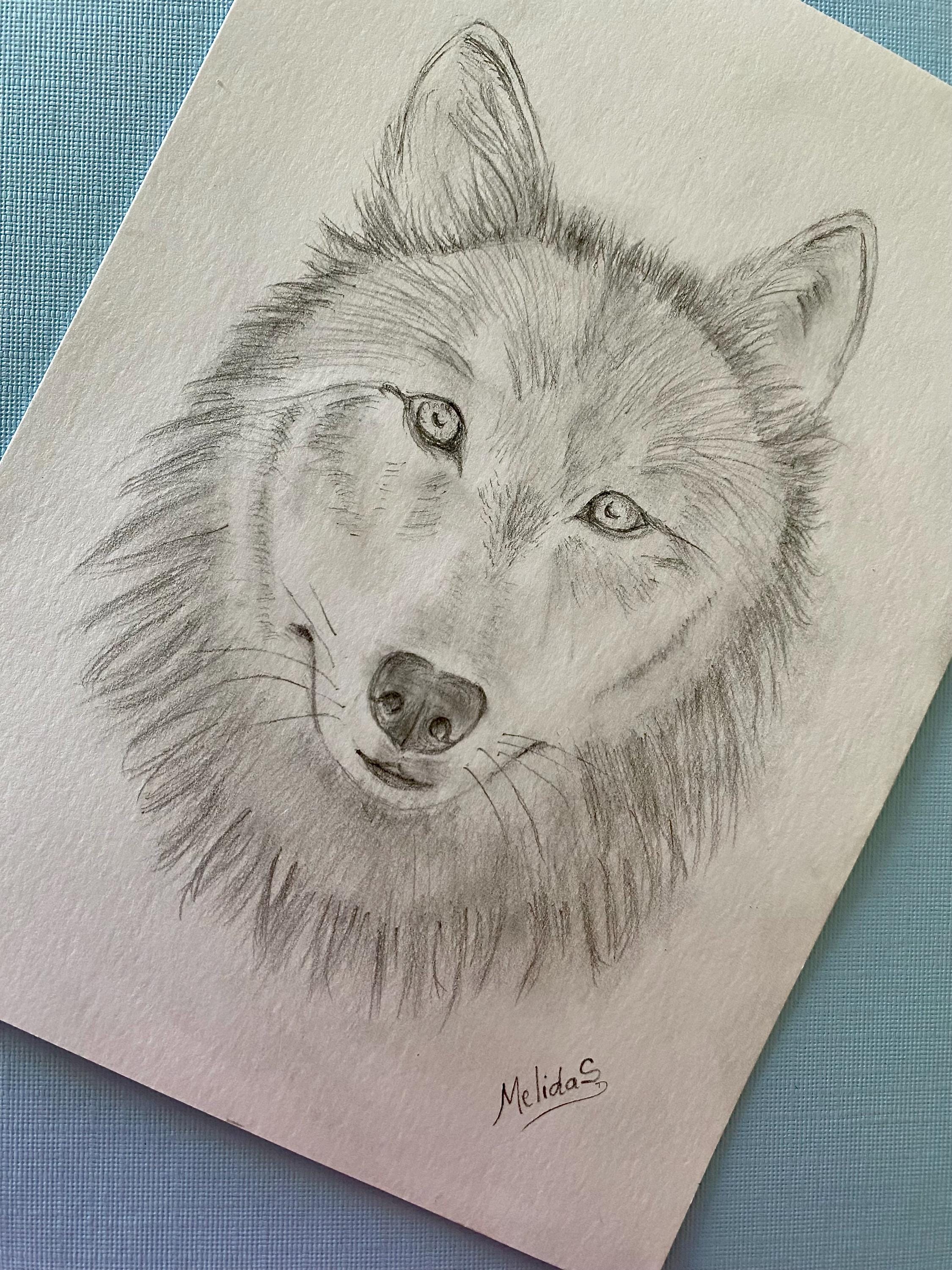 Wolves Graphite Drawing Wolf Art Original Drawing, Wolf Graphite Drawing, Wildlife Art - Etsy