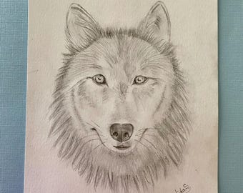 アナログ 手描きイラスト　オオカミのイラスト 色鉛筆画 オオカミの絵 | 色鉛筆のオオカミ | リアルな絵 | 8