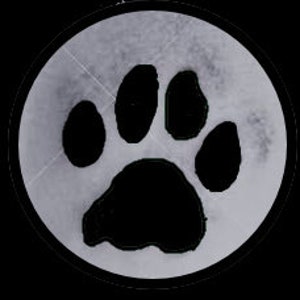 Pet Paw Print 3D Printed Reproduction // Keepsake // Dog or Cat Ornament image 6