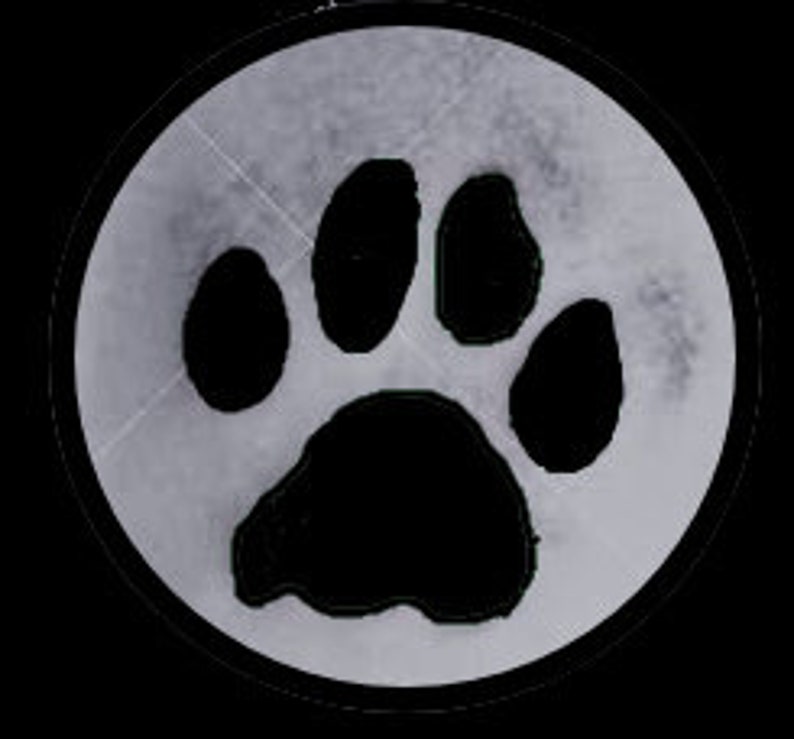 Pet Paw Print 3D Printed Reproduction // Keepsake // Dog or Cat Ornament image 6