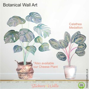 May include: Two watercolor botanical wall art decals. The first decal is a Monstera plant in a brown pot. The second decal is a Calathea Medallion plant in a white pot. The text "Also available our Cheese Plant" is written below the decals.