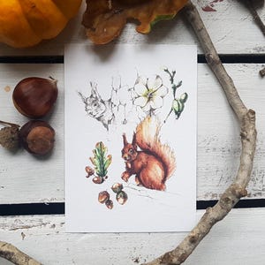 illustration aquarelle, carte postale, carte à message, idée cadeau, papeterie, illustration d'automne, automne, fall