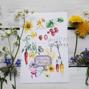 Aquarell-Illustration, Postkarte, Nachrichtenkarte, Geschenkidee, Briefpapier, Frühlingsillustration, Frühlingsherbarium