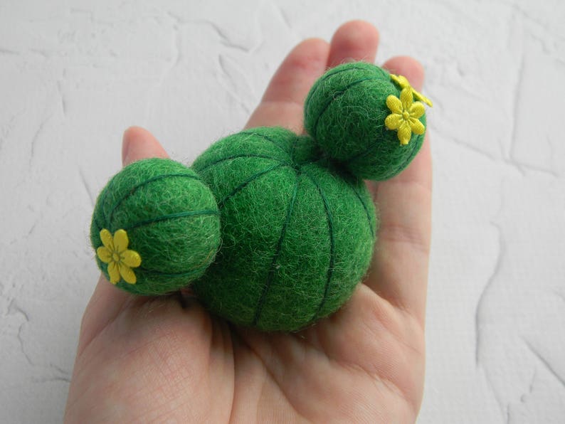 Needle felted plant Felt cactus miniature Felted succulents Etsy